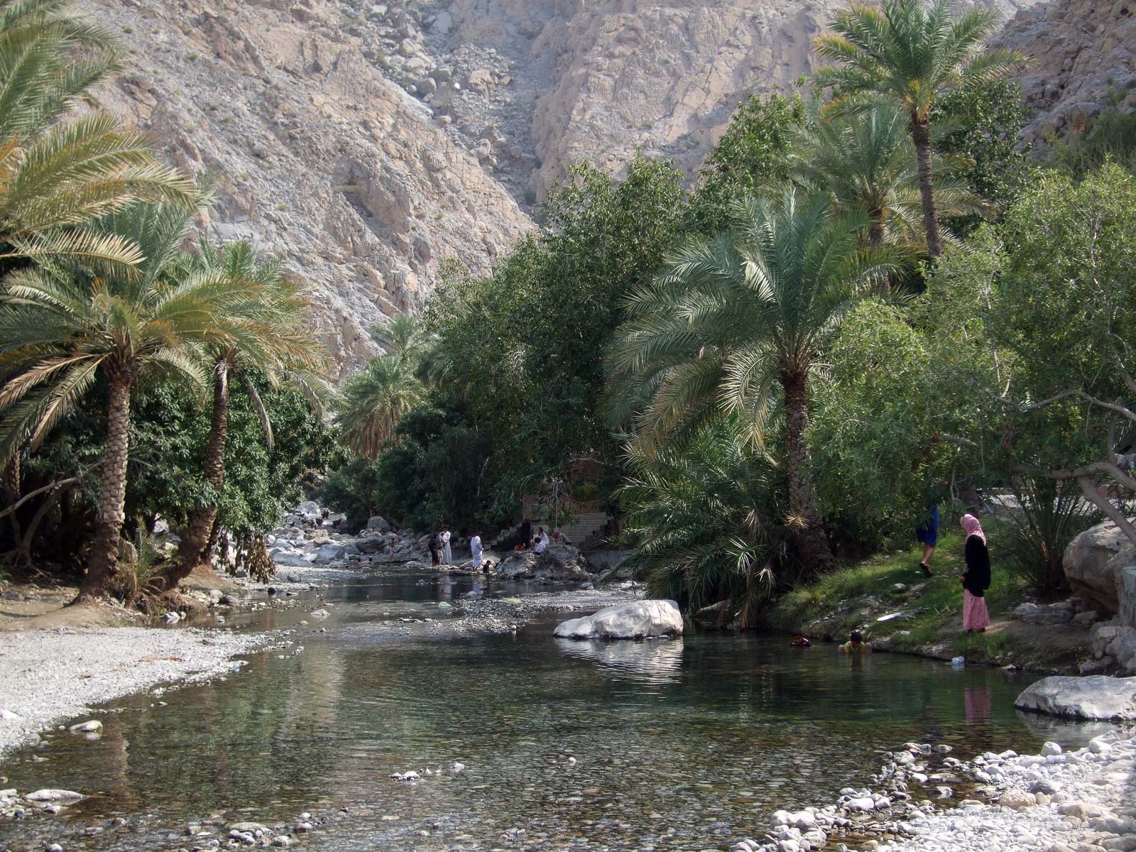 Oman Oases and Wadis